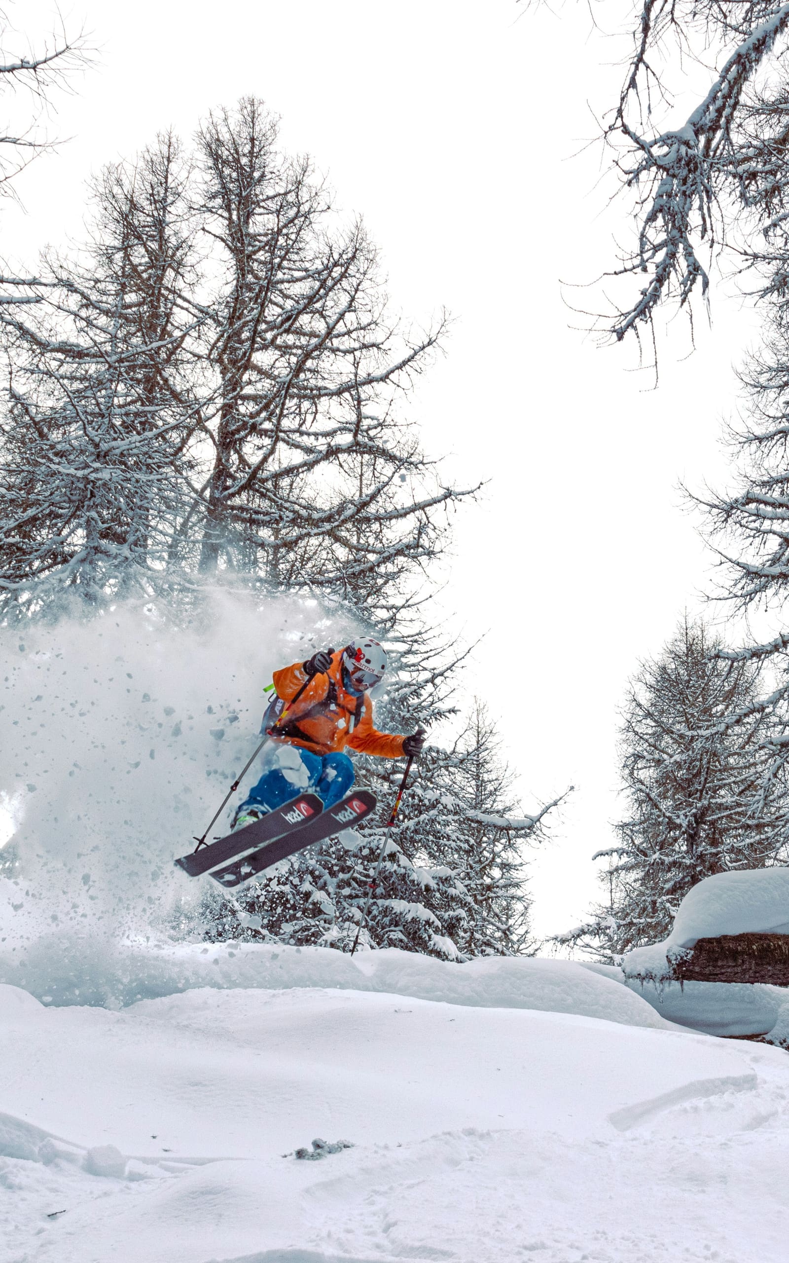 Freerider springt mit Pulverschnee durch einen verschneiten Lärchenwald