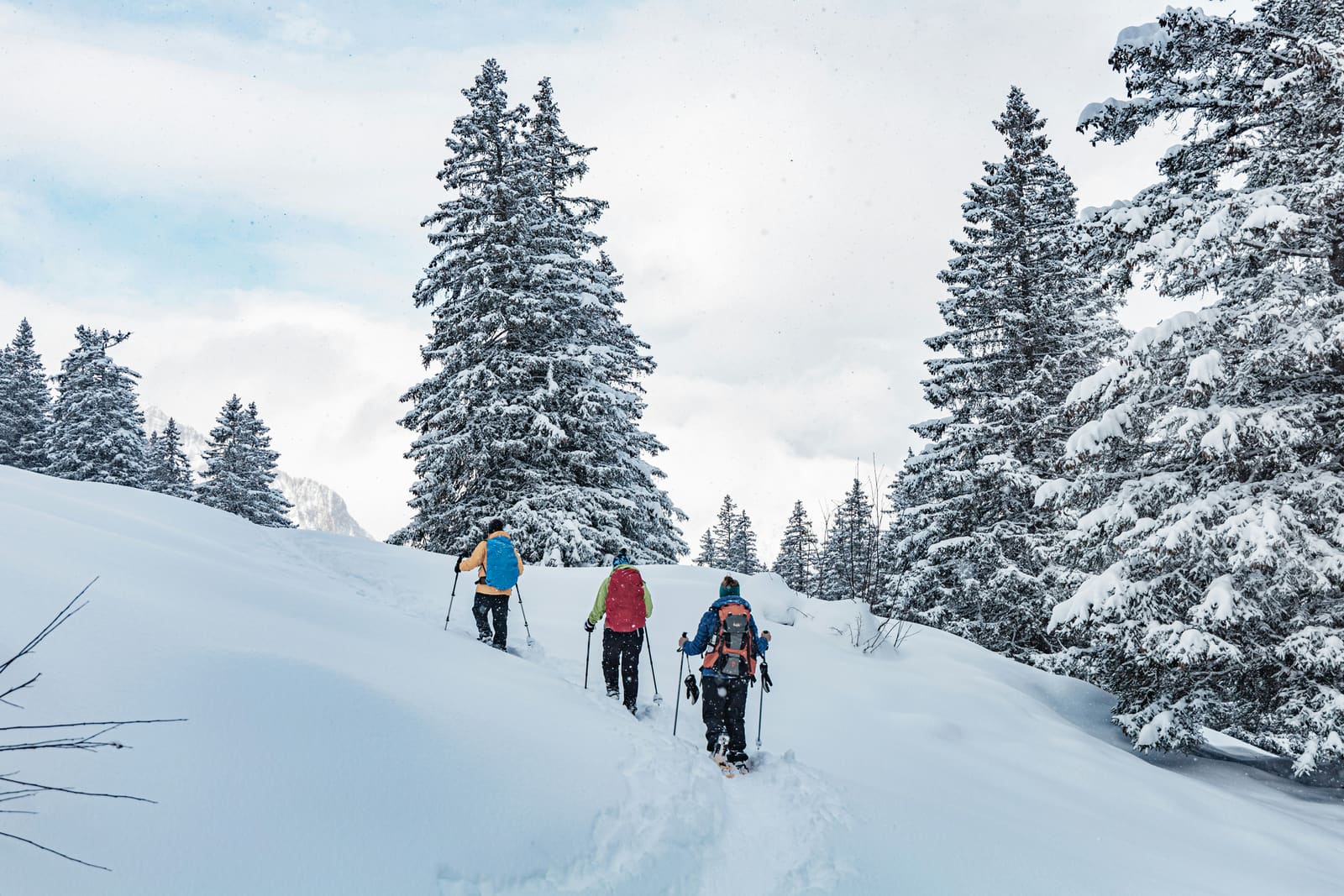 Eine kleine Gruppe steigt im Schnee zwischen verschneiten Tannen bergauf.