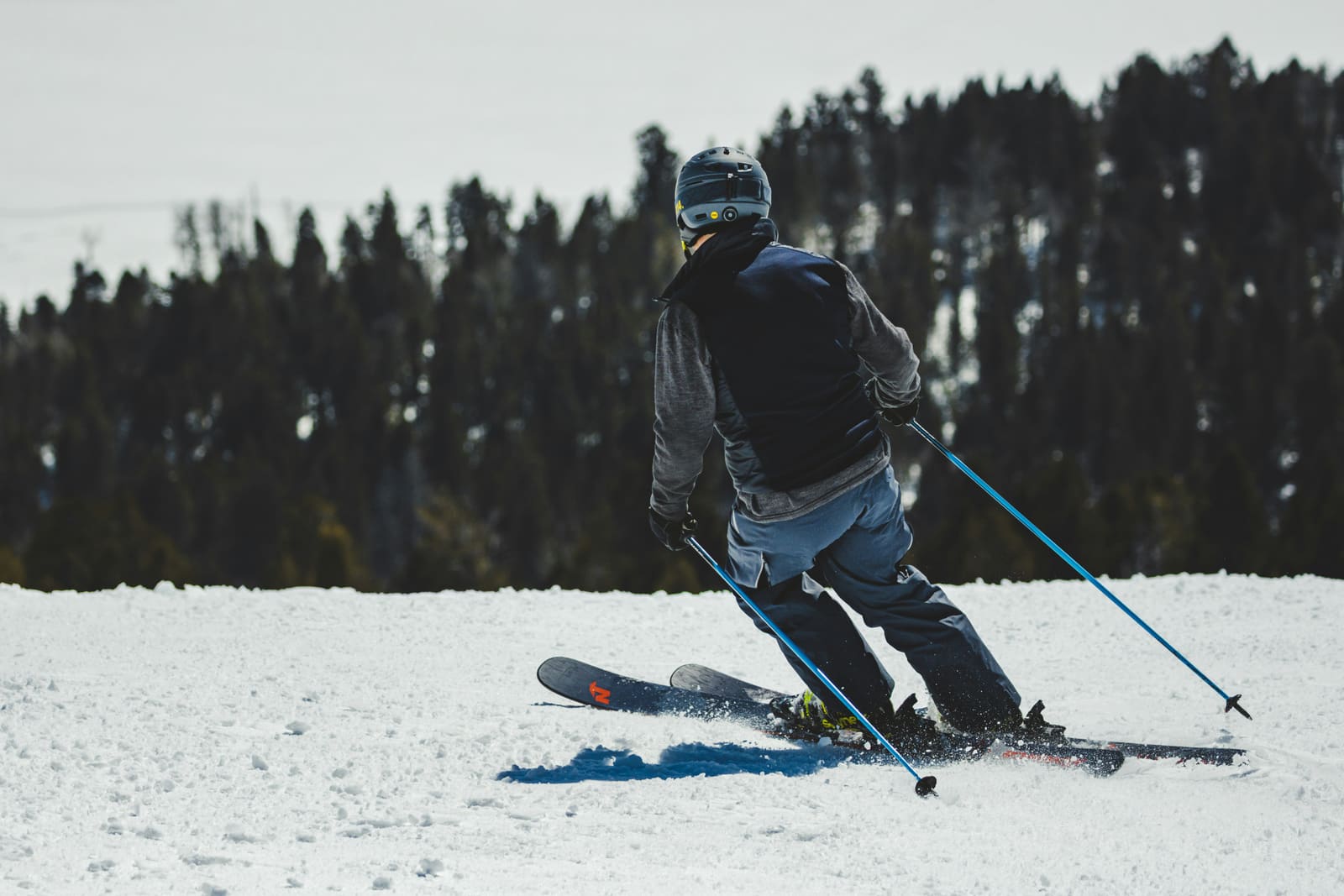 Skifahrer von hinten in einer Kurve auf der Piste vor dunklem Nadelwald