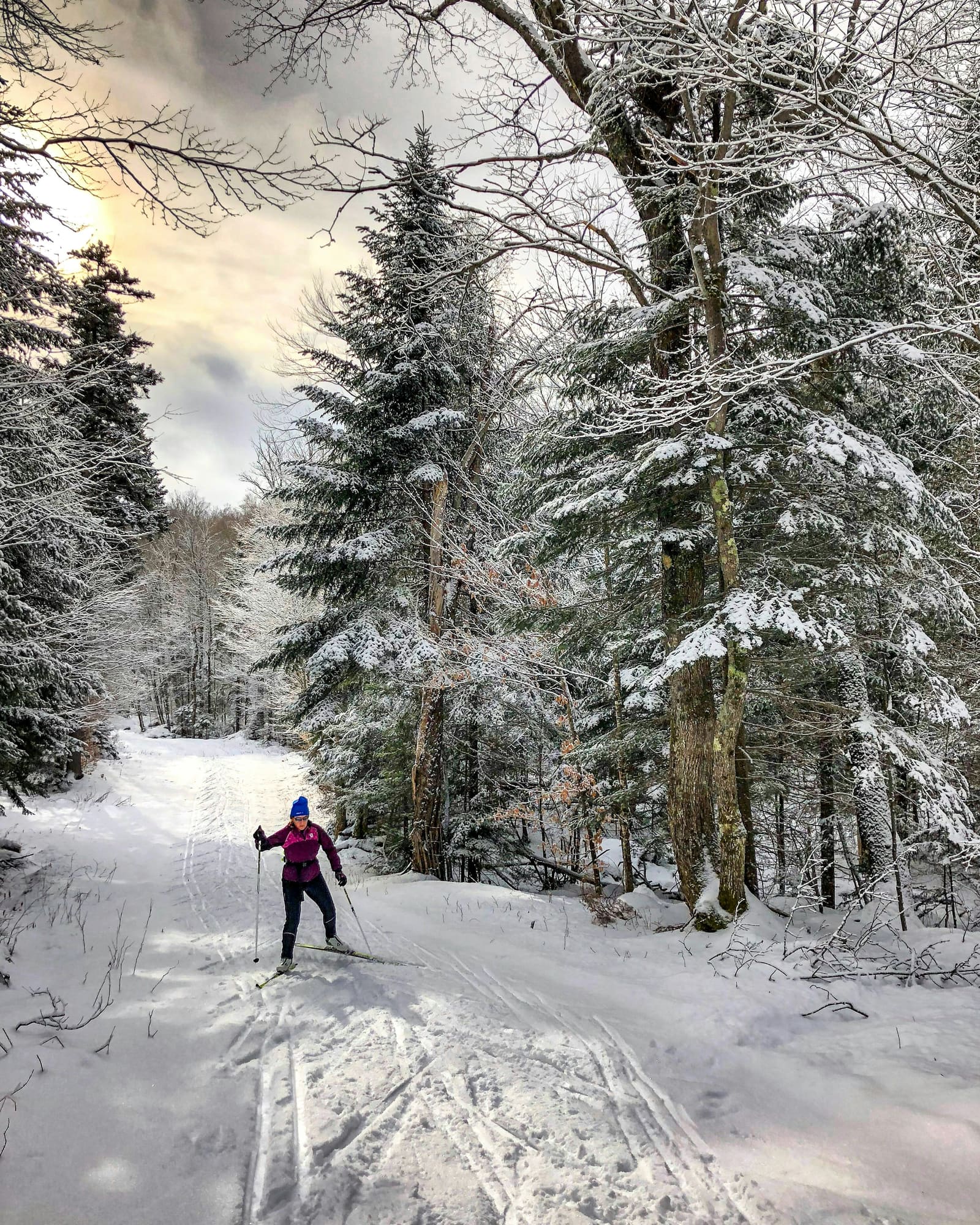 Ein verschneiter Waldweg zwischen Tannen, eine Person in der Ferne.